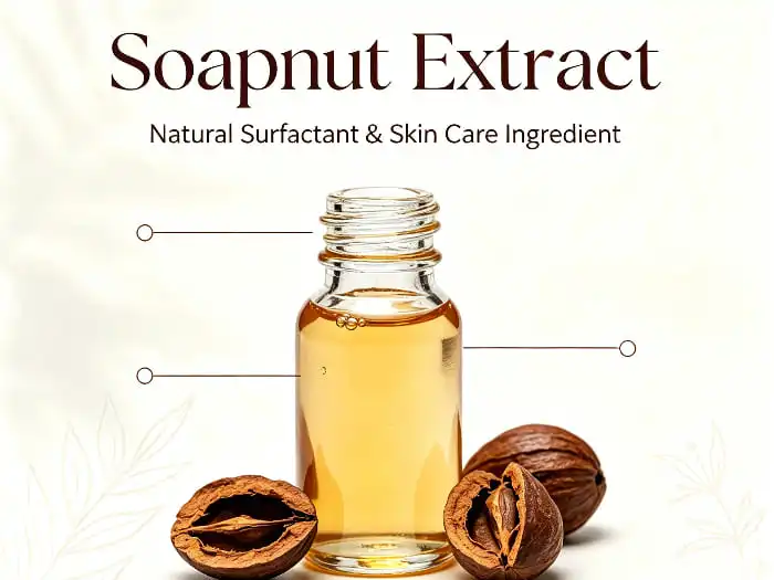 Benifits Of Soapnut Extract Powder